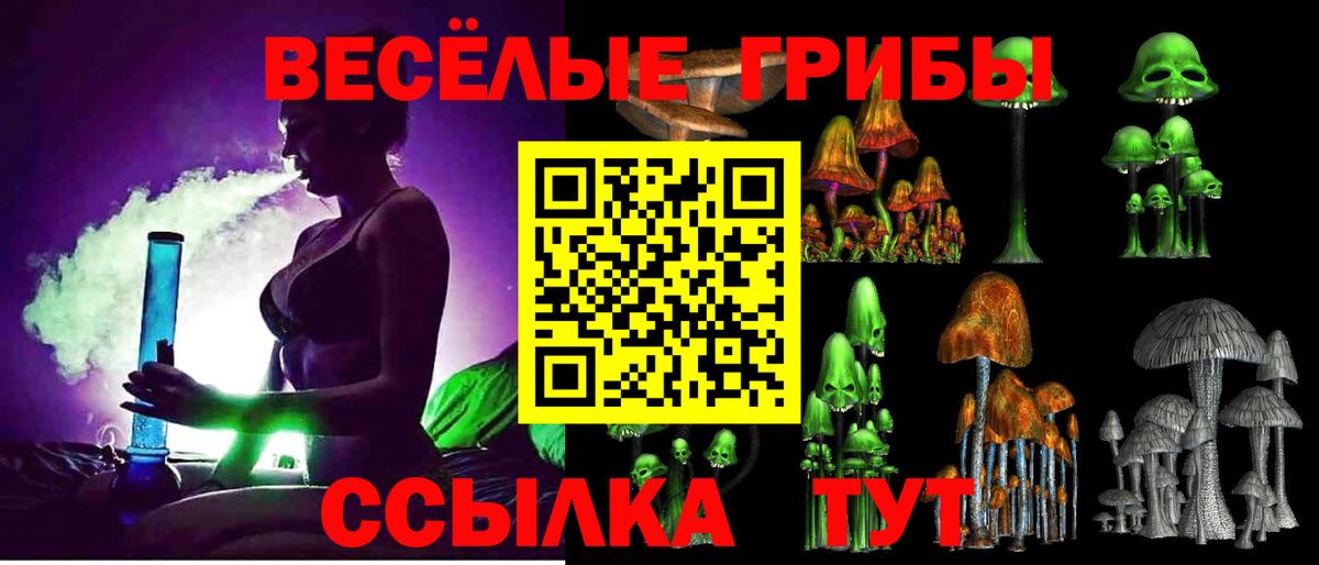 Галлюциногенные грибы GOLDEN TEACHER Малгобек