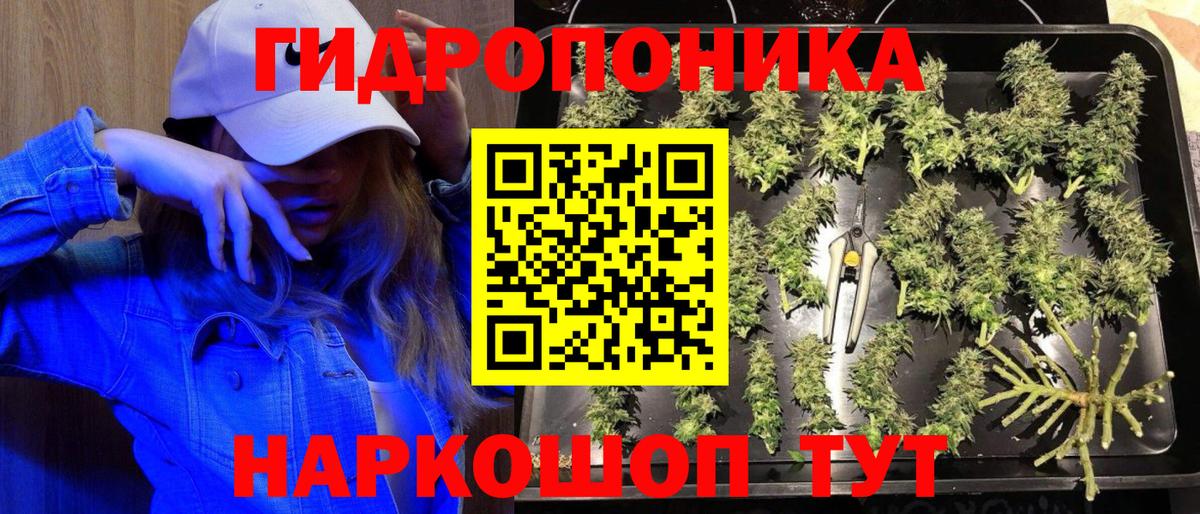 Бошки Шишки планчик  Конопля семена  Малгобек  Вход с VPN 
